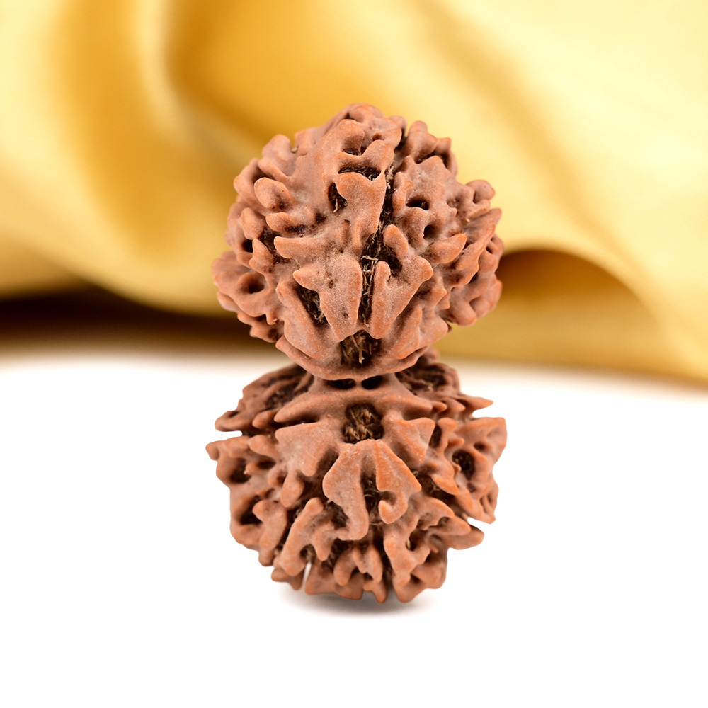 Rudraksha Silver Pendant