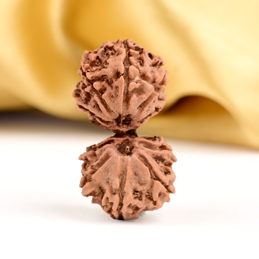 Gauri Shankar Rudraksha from Nepal