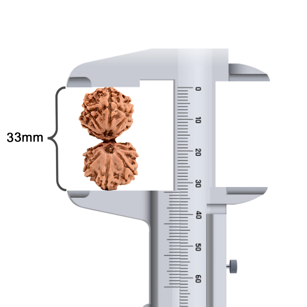Gauri Shankar Bonded Rudraksha